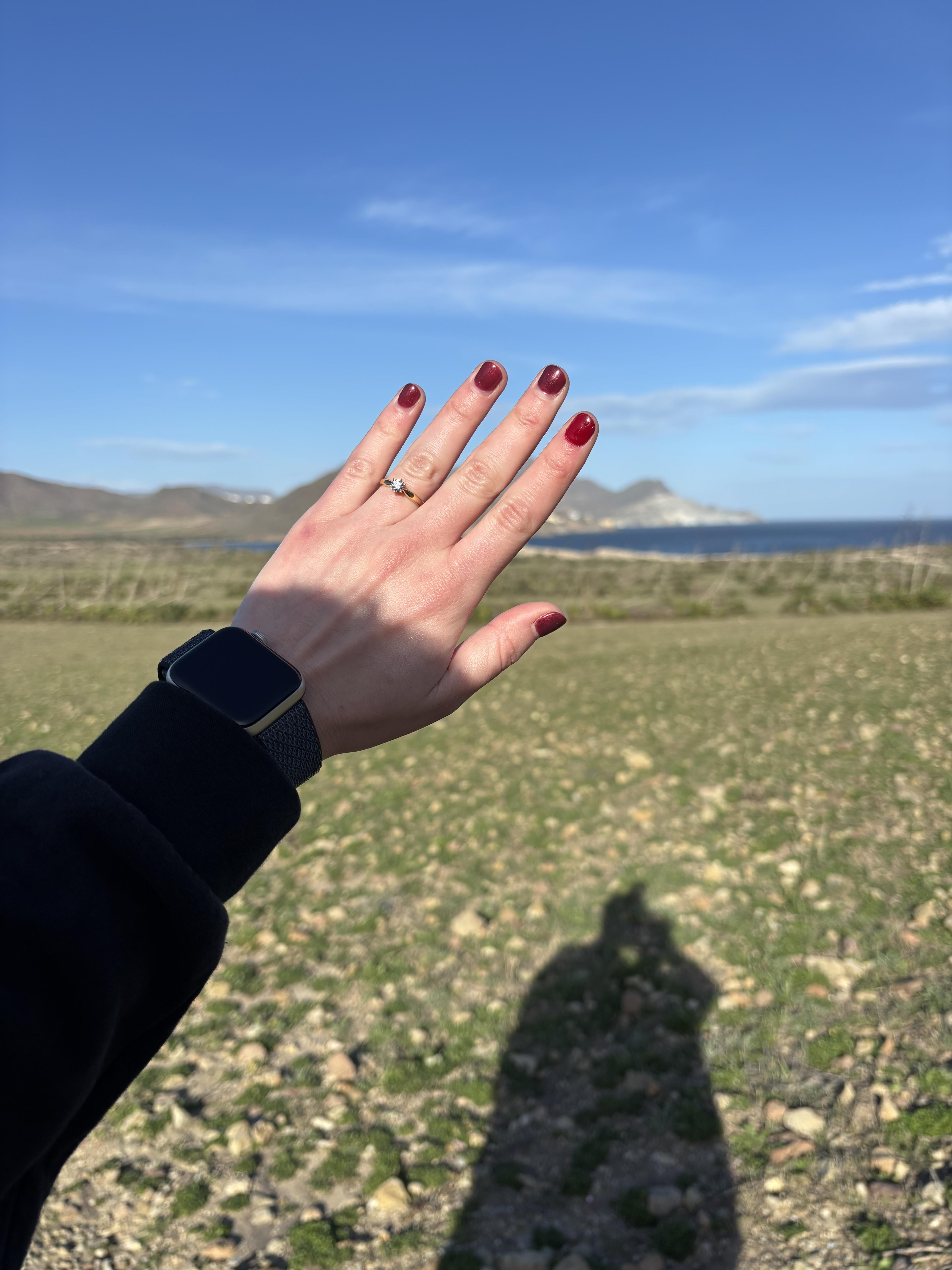 El anillo